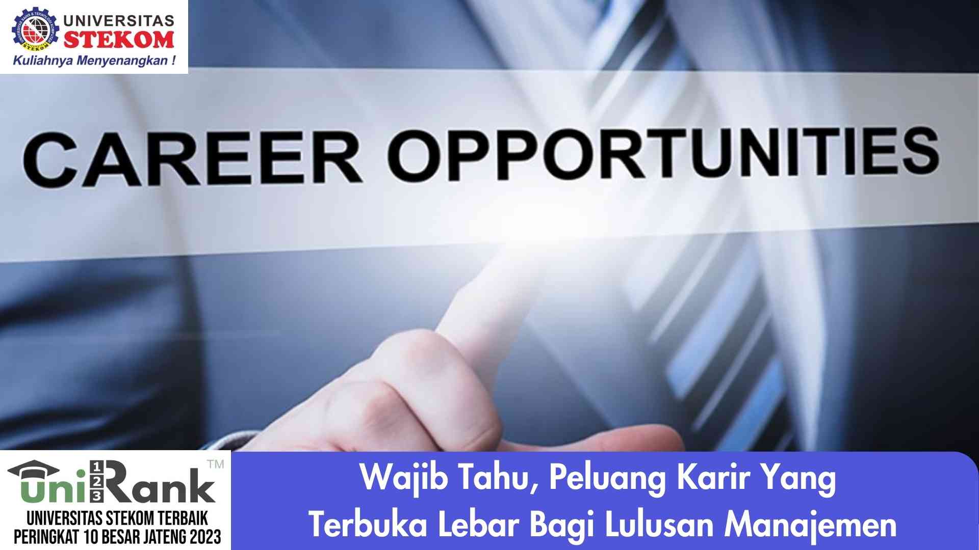 Wajib Tahu, Peluang Karir yang Terbuka Lebar dari Lulusan Manajemen