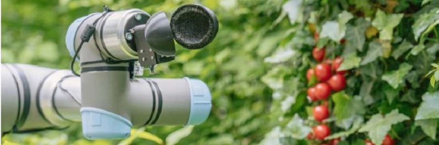 Kerjasama Peneliti dengan ChatGPT untuk Pembuatan Robot
