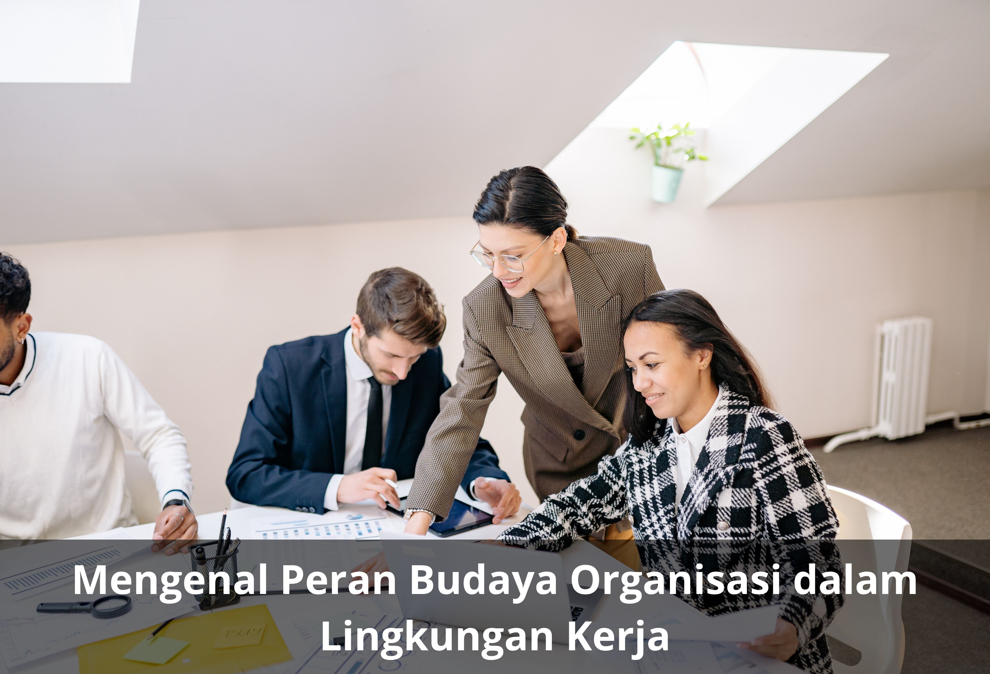 Mengenal Peran Budaya Organisasi dalam Lingkungan Kerja