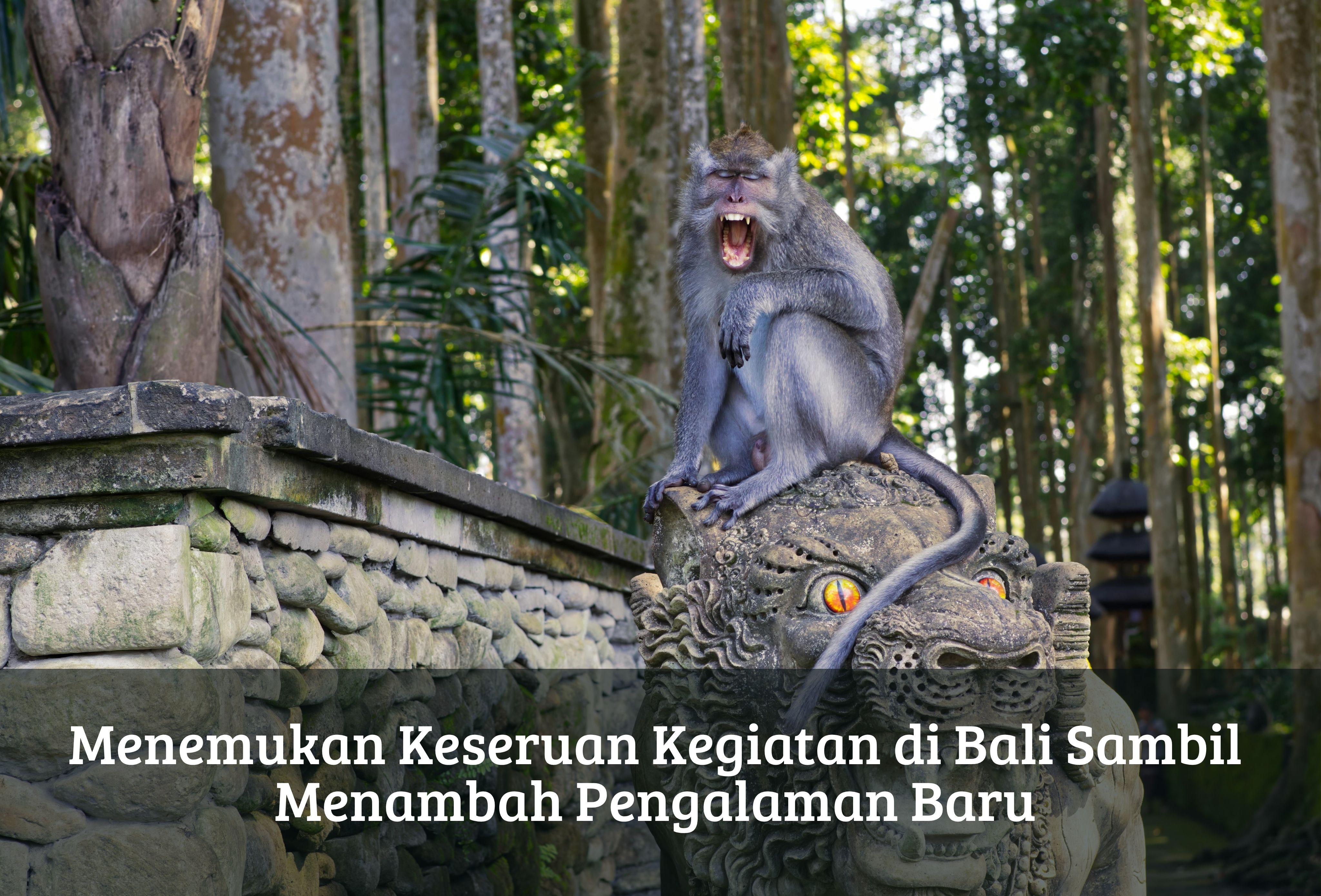 Menemukan Keseruan Kegiatan di Bali Sambil Menambah Pengalaman Baru