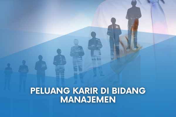 Peluang Karir di Bidang Manajemen
