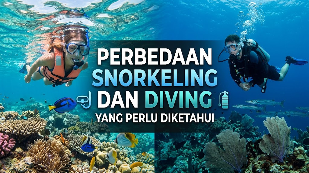 Perbedaan Snorkeling Dan Diving Yang Perlu Diketahui