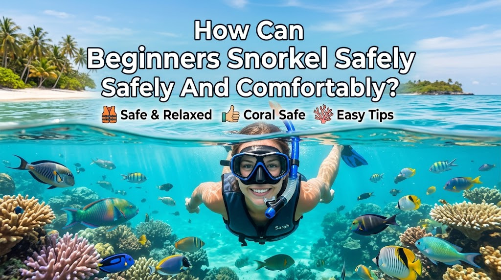 How Can Beginners Snorkel Safely And Comfortably?