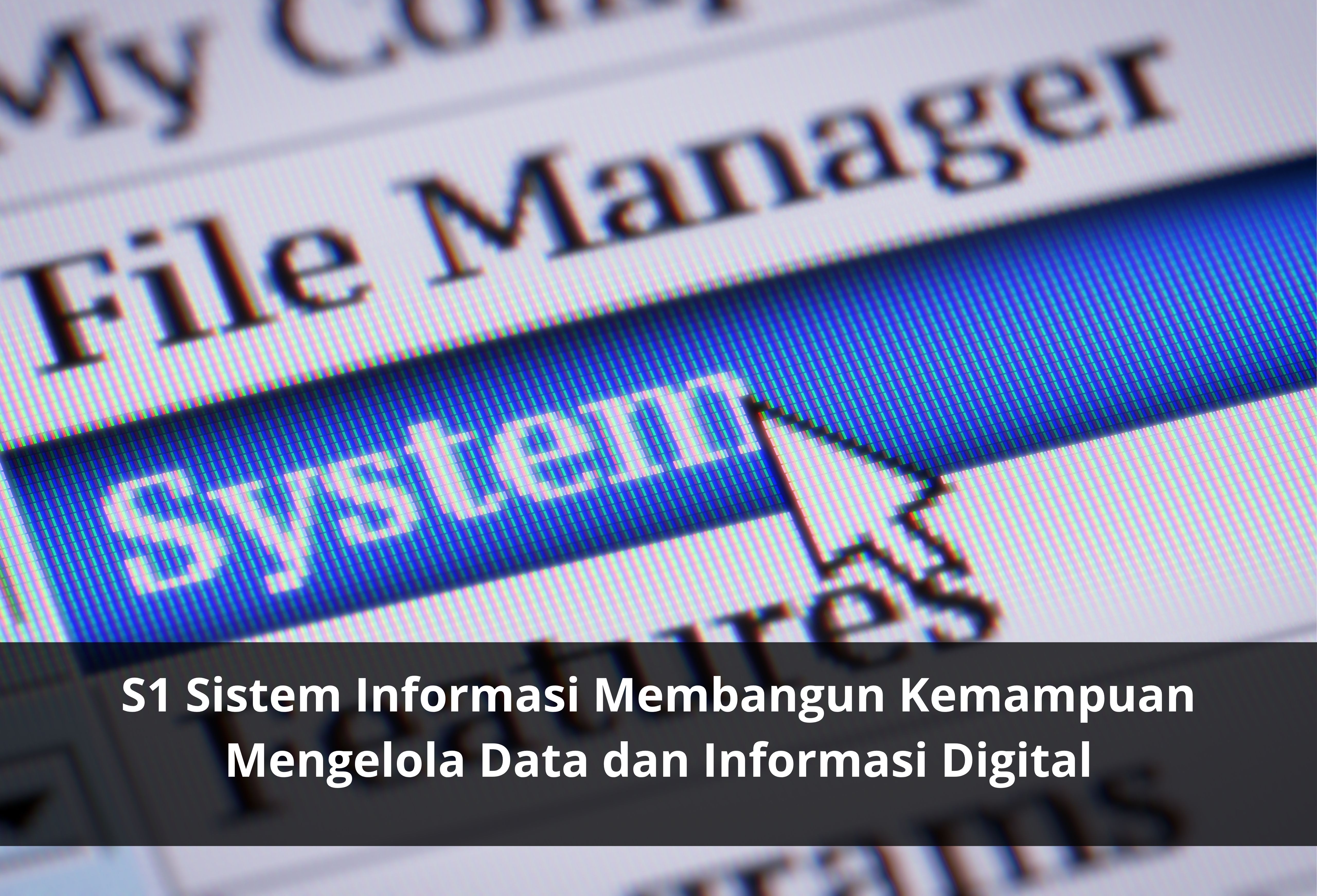 S1 Sistem Informasi Membangun Kemampuan Mengelola Data dan Informasi Digital