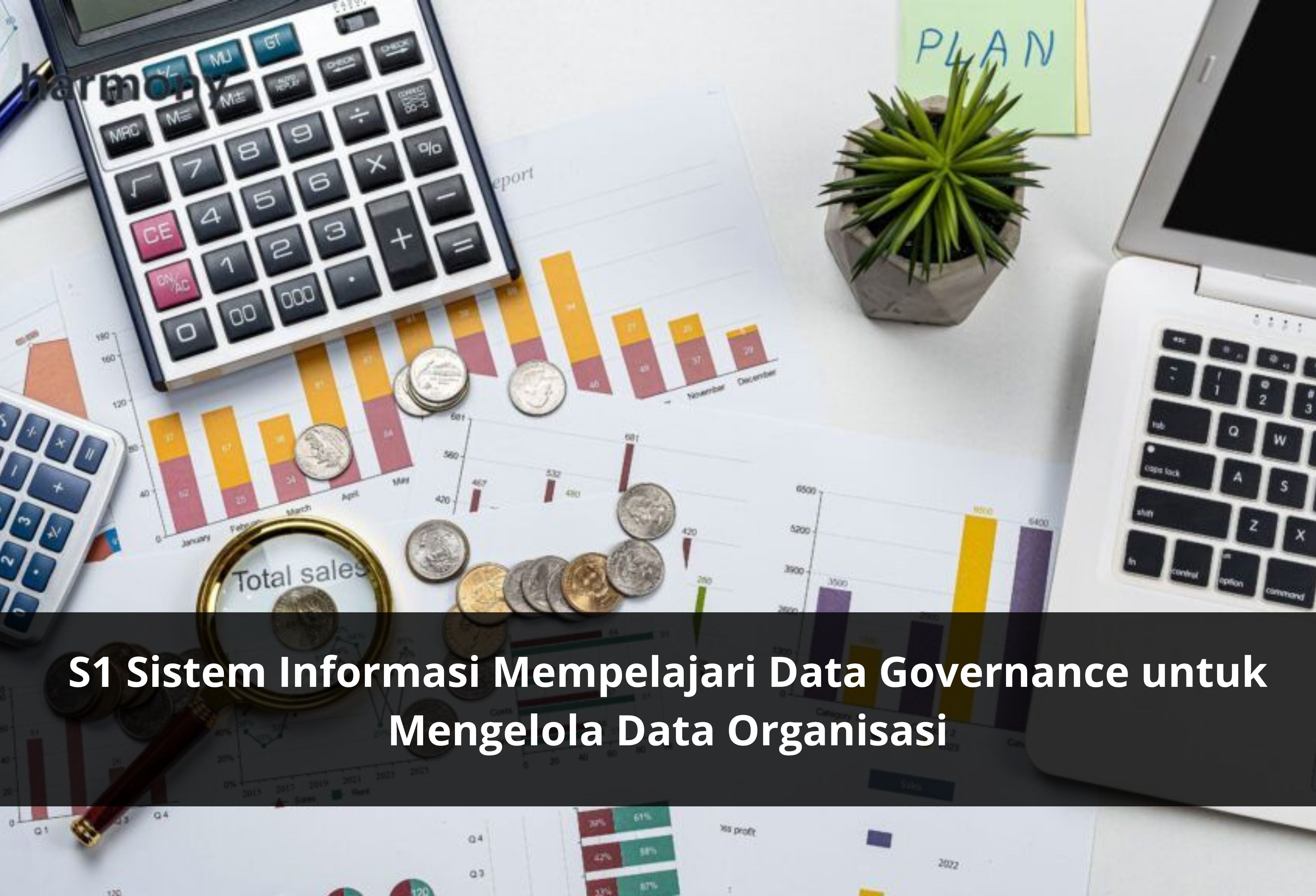 S1 Sistem Informasi Mempelajari Data Governance untuk Mengelola Data Organisasi