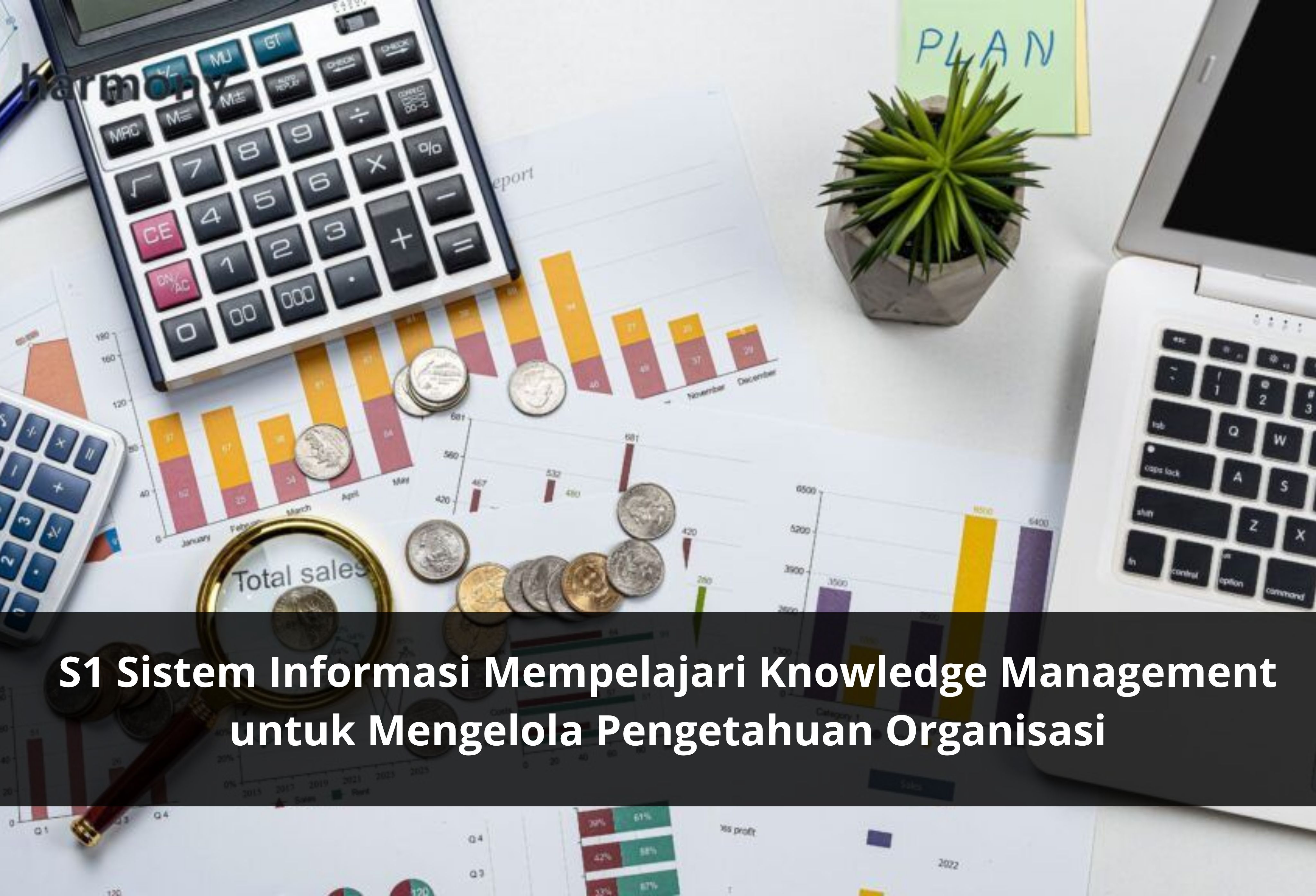 S1 Sistem Informasi Mempelajari Knowledge Management untuk Mengelola Pengetahuan Organisasi