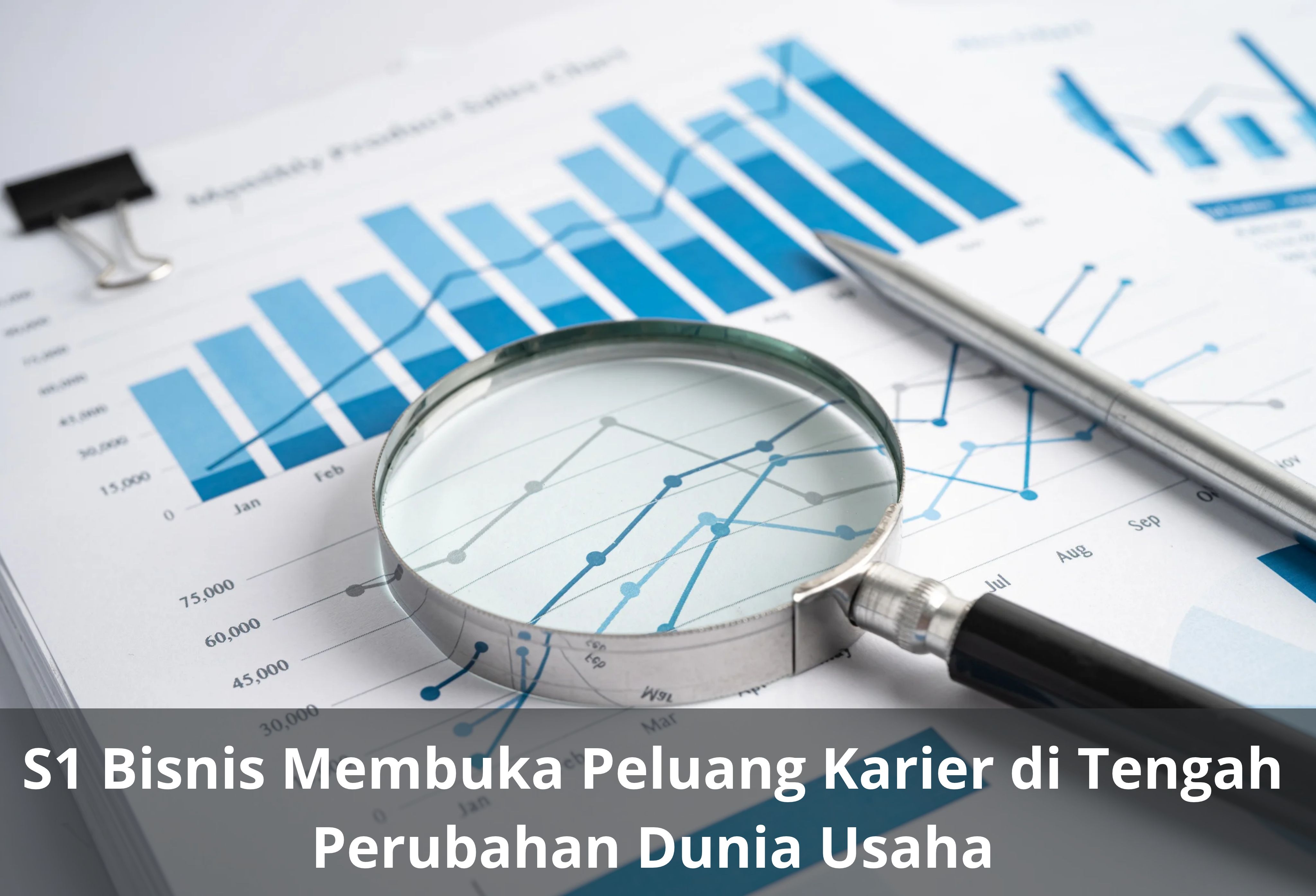 S1 Bisnis Membuka Peluang Karier di Tengah Perubahan Dunia Usaha
