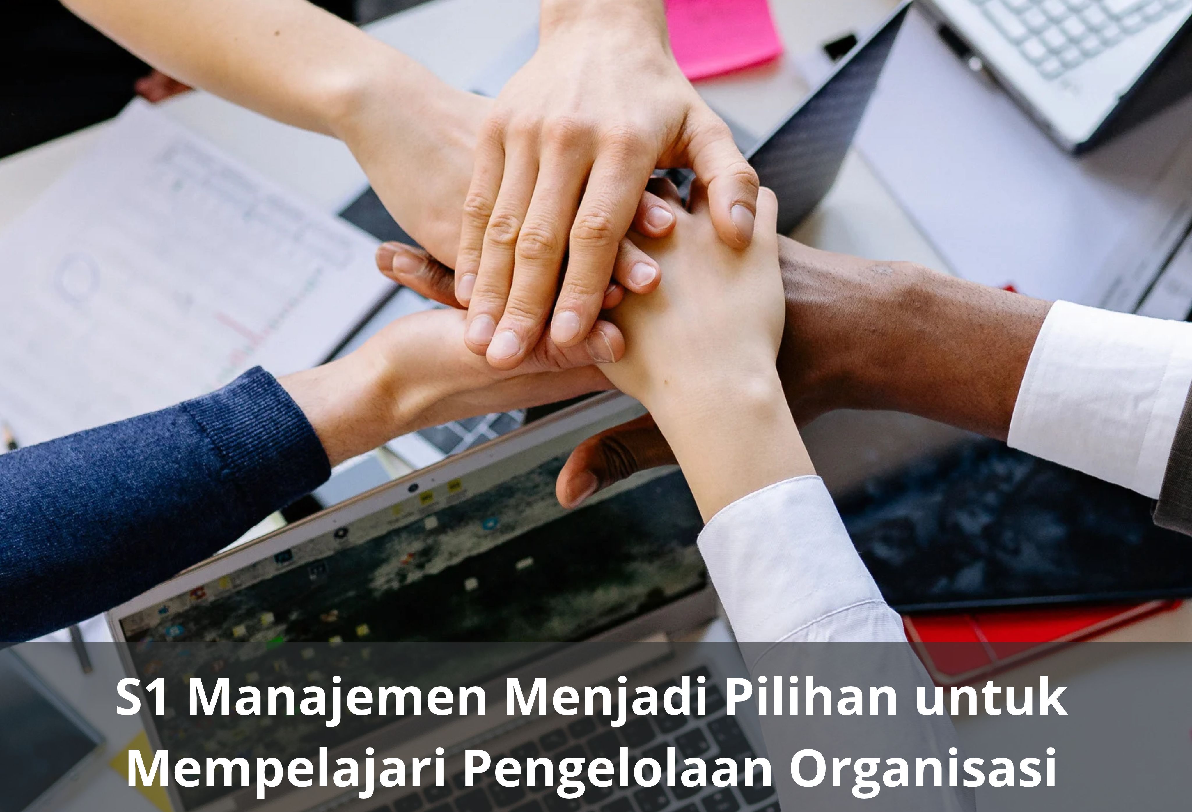 S1 Manajemen Menjadi Pilihan untuk Mempelajari Pengelolaan Organisasi