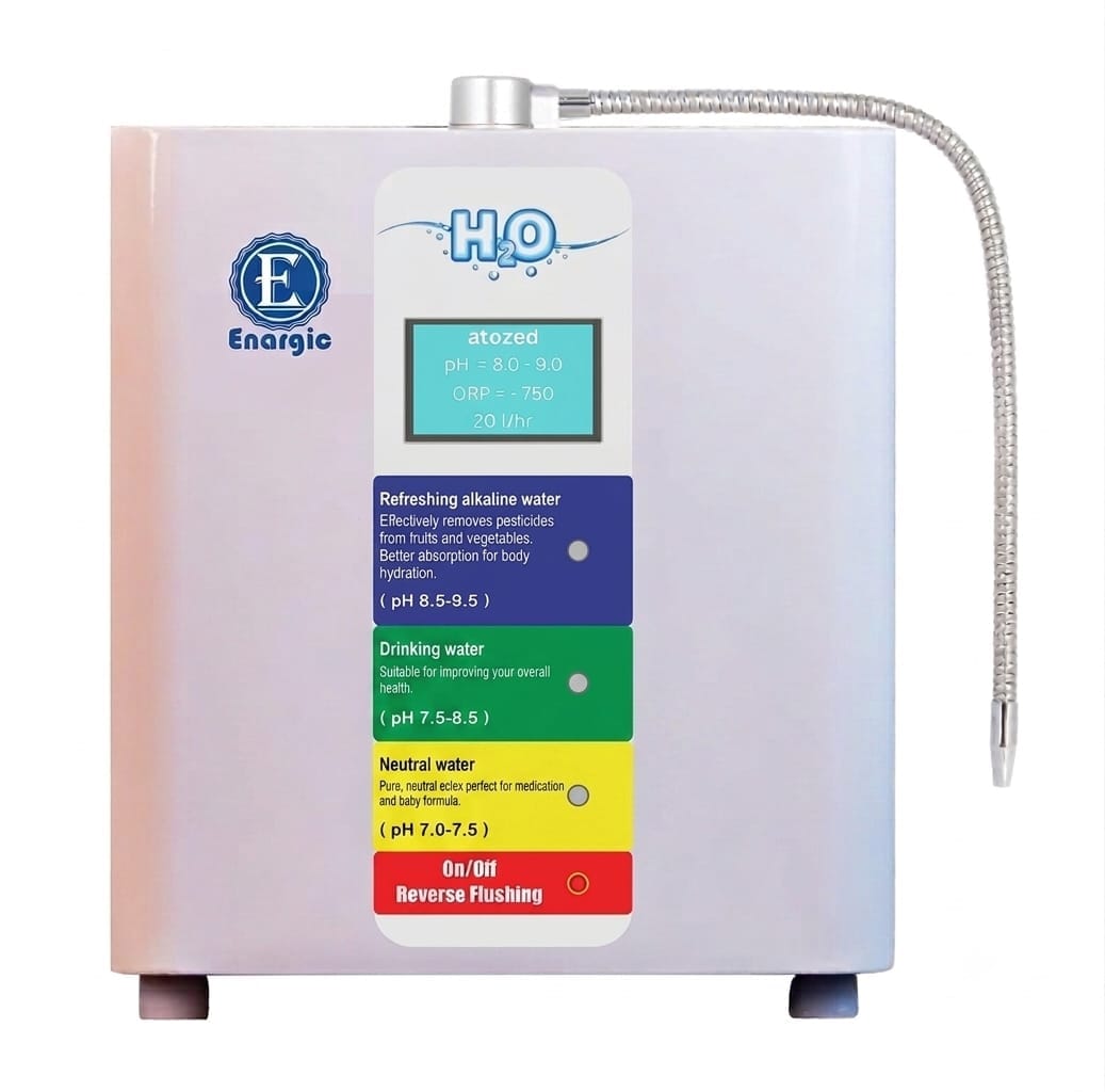 MONTHELY RENT OF ENERGIC 3 PLATES ALKALINE IONIZER