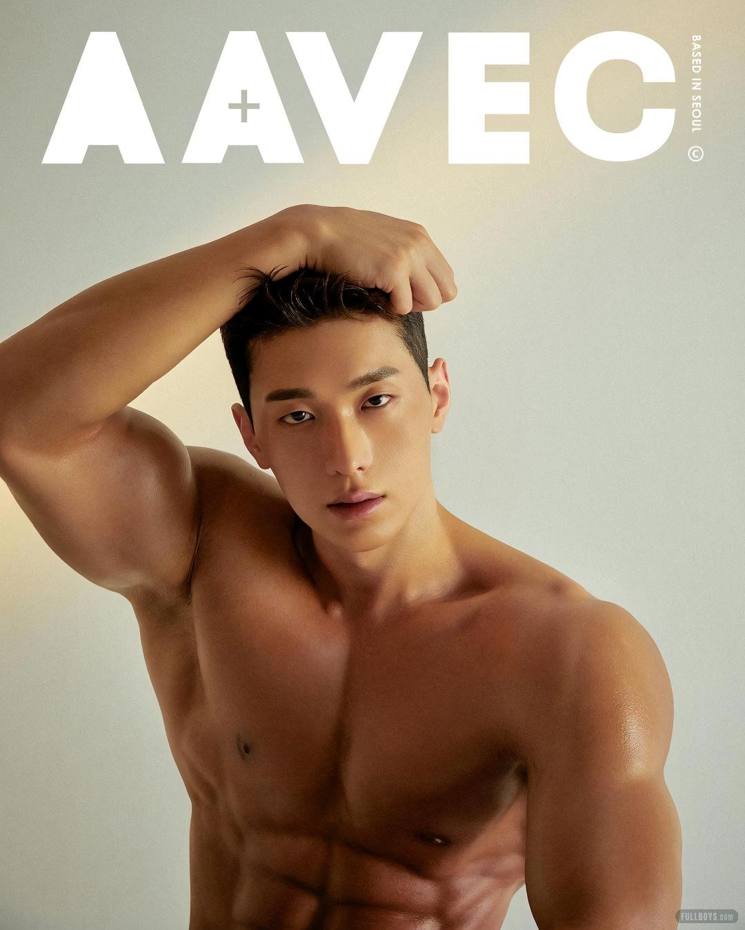 Erotic Gay AAVEC COLLECTION