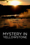 Mystery in Yellowstone