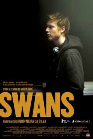 Swans