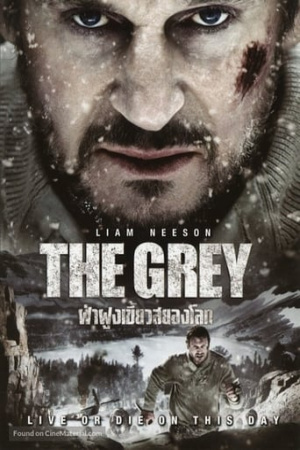 The Grey