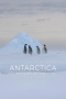 Antarctica, in the footsteps of the Emperor