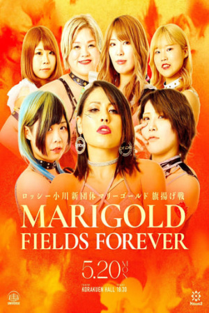 Marigold Fields Forever