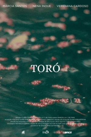 Toró