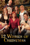 12 Wishes of Christmas