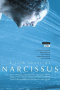 Narcissus