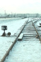 19 876 Steps in Auschwitz / Birkenau