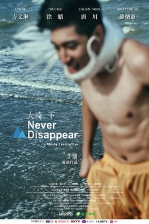 Never Disappear