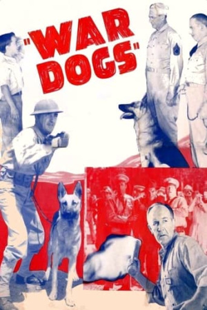 War Dogs