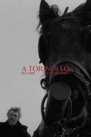 The Turin Horse