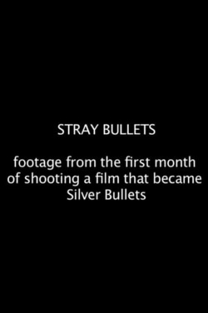 Stray Bullets