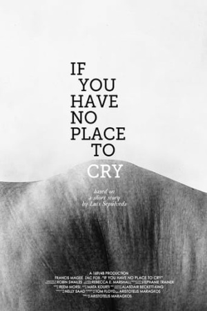 If You Have No Place to Cry