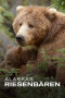 Alaska's Giant Bears