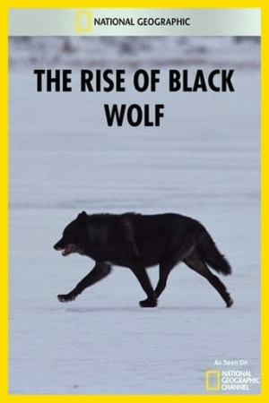 The Rise of Black Wolf