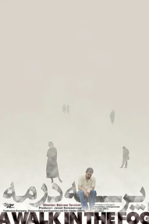 A Walk in the Fog