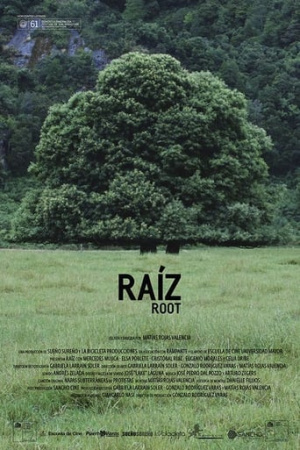 Root