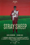 Stray Sheep