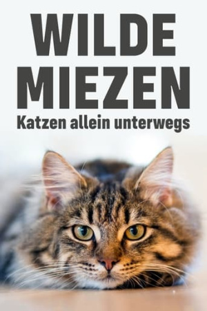 Wilde Miezen - Katzen allein unterwegs