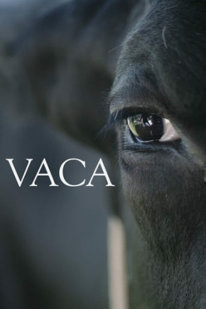 Vaca