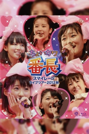 S/mileage 2012 Autumn ~Choi Kawa Banchou~