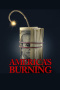 America's Burning