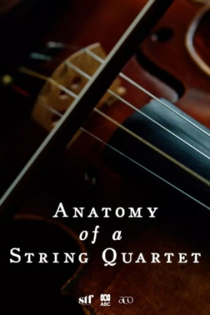 Anatomy of a String Quartet