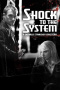 Shock to the System: A Donald Strachey Mystery