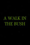 A Walk in the Bush