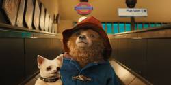 paddington-social-feature