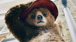 อดใจรอ! เจ้าหมีน้อย Paddington in Peru เตรียมเข้าฉายในปี 2025