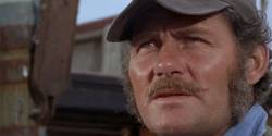 Jaws-Quint_11zon