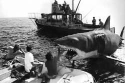 Jaws-BTS-1