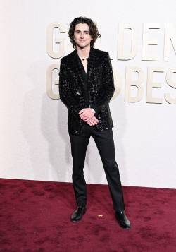 Timothée Chalamet-81st-Golden Globe Awards