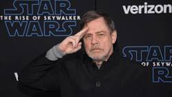 mark-hamill-2323273