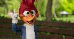 Woody Woodpecker Goes to Camp-Netflix