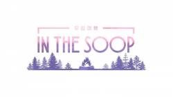 in-the-soop