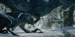 Dinosaurs-in-snow-Jurassic-World-Dominion-Blue-Raptor-Baby-01