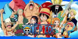 One-Piece-Character-Guide